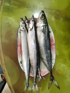Make Salmon step 0