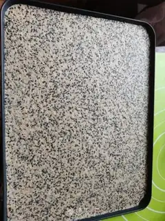 Make Sesame protein step 4