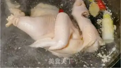 Make Creaming chickens step 4