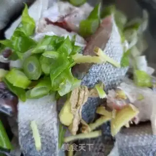 Make Squid step 1