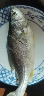 Make Tomatoe and yellowfish step 0