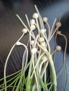 Make All-white omelette step 0
