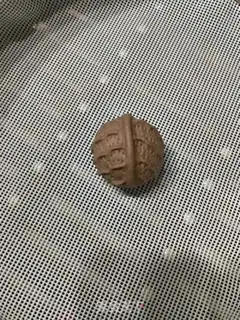 Make walnut bag step 19