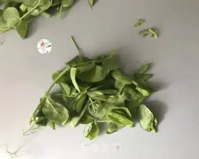 Make Clean up the peas step 1