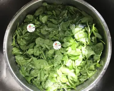 Make Clean up the peas step 2