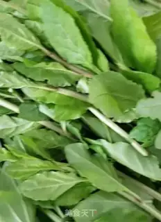 Make ♪ The cold sprouts ♪ step 1