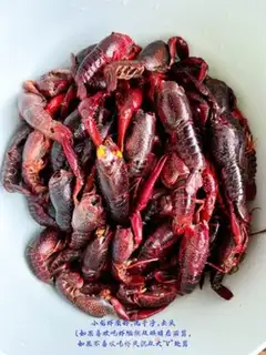 Make Spicy lobster step 0