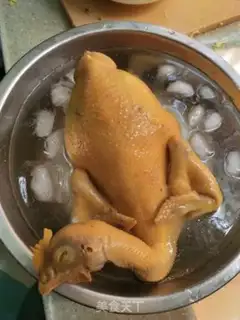 Make White pheasant step 10