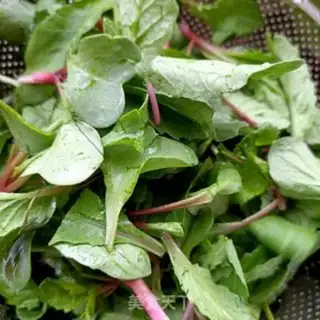 Make The radish and the silver ear step 1