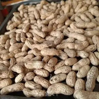 Make Baked-shell peanuts step 1