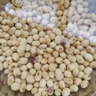 Make Soybean scum step 0