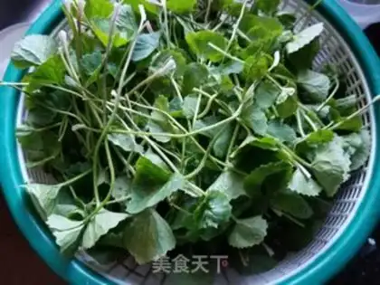 Make Thunder root soup step 0