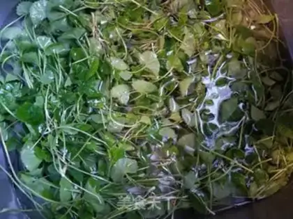 Make Thunder root soup step 1