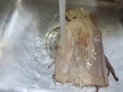 Make Squid