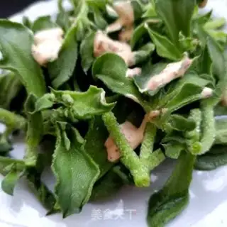 Make Icegrass salad step 4