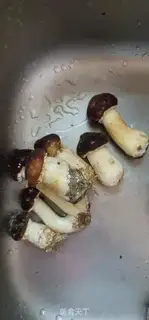 Make Qi-soon meatloaf soup step 0