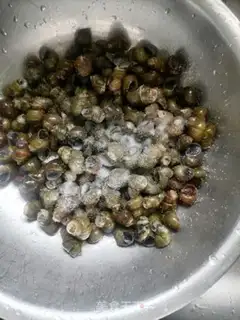 Make Snails step 0