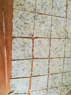 Make Soda onions, spicy step 3