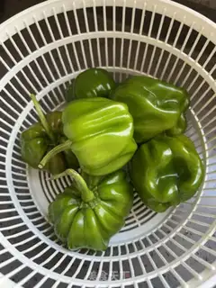 Make Pepper pastries step 0