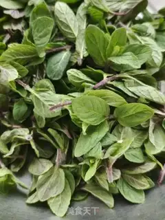 Make Mint step 0