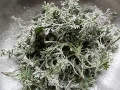 Make Steam artemisinin step 4