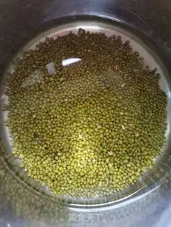 Make Auto green bean sprouts step 1