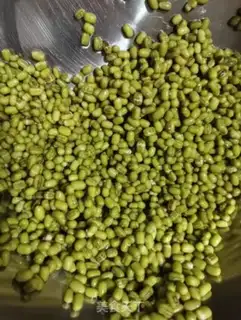 Make Auto green bean sprouts step 2