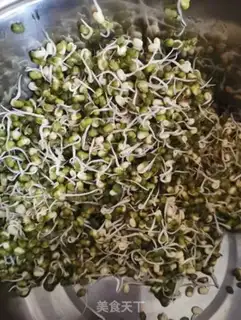 Make Auto green bean sprouts step 3