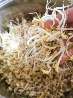 Make Auto green bean sprouts step 5
