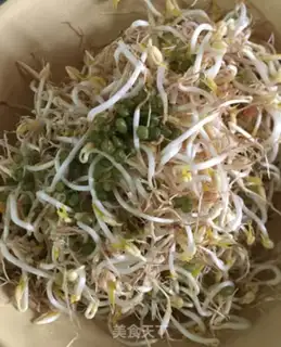 Make Auto green bean sprouts step 6