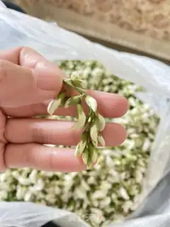 Make Oily flowers step 0
