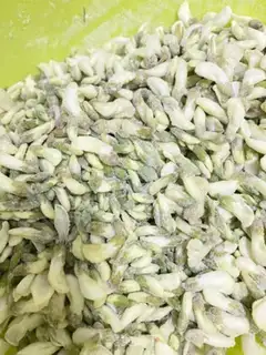 Make Oily flowers step 2