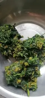 Make The rat grass step 1