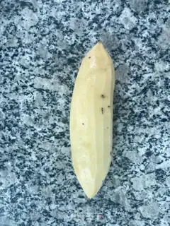 Make Crackers step 1