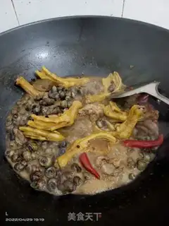 Make The foot of the snail step 5