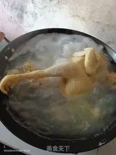 Make White pheasant step 0