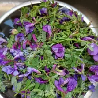 Make Eggs and wild peas step 1