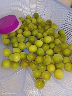 Make Blue plum wine step 0