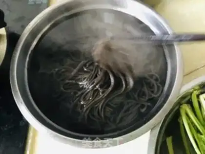 Make Frozen root powder step 2