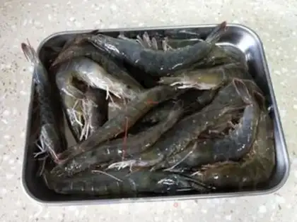 Make Garlic fan shrimp step 0