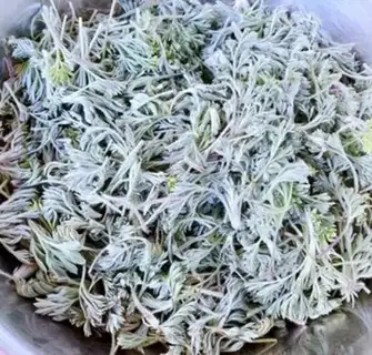 Make Powdered artemisinin step 0