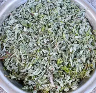 Make Spinach box step 0
