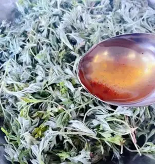 Make Powdered artemisinin step 3