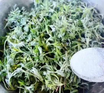 Make Powdered artemisinin step 4