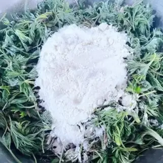 Make Powdered artemisinin step 5