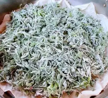 Make Powdered artemisinin step 7