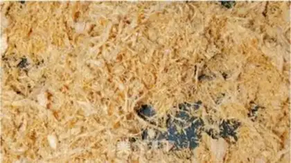 Make Homemade meat pine step 10