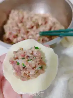 Make Frozen pork dumplings step 9