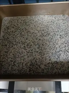 Make Sesame protein step 5
