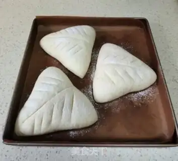 Make Triangular European Package step 8